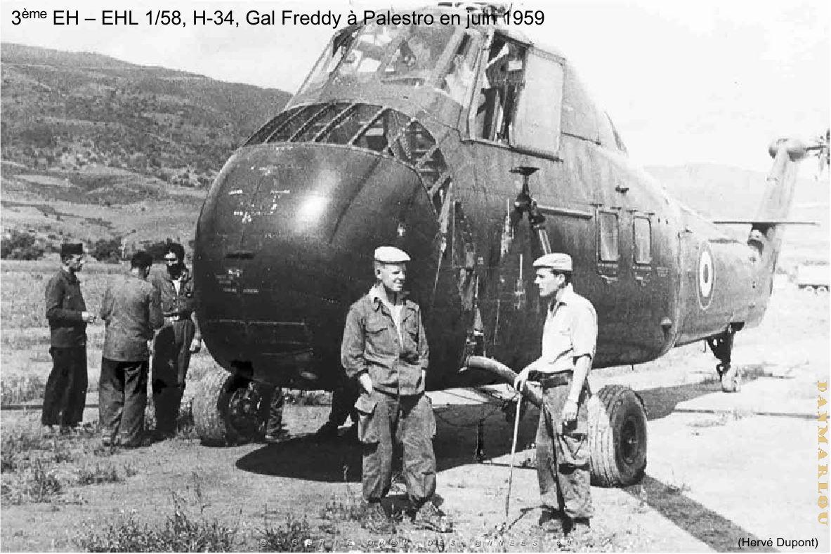 205- ARMEE DE L'AIR EN ALGERIE 1945-1962-53 (115).jpg